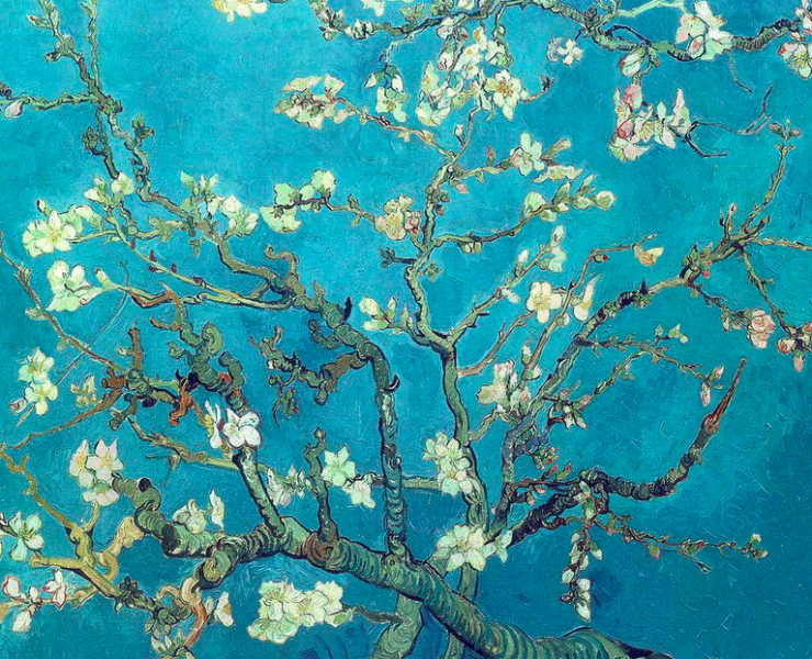 Branches with white blossoms on a blue background
