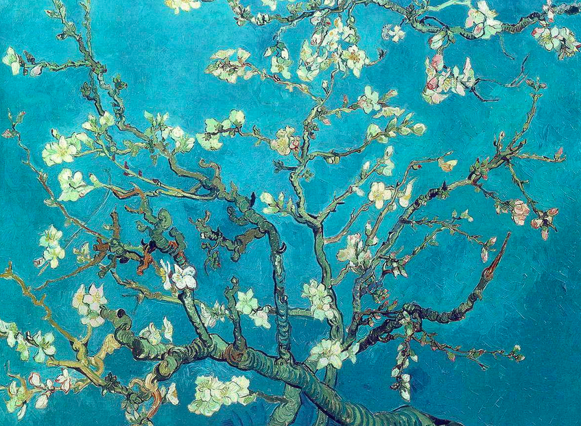 Branches with white blossoms on a blue background