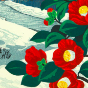 Japanese painting of red camellias, the background is a snowy hill