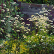 Painting of a garden overgrown with goutweed
