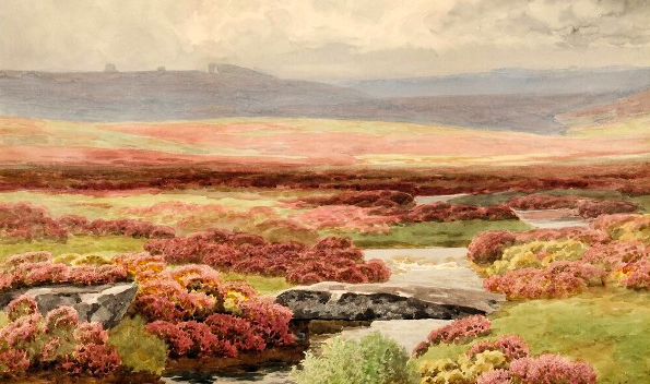 Impressionist painting of a field of heather