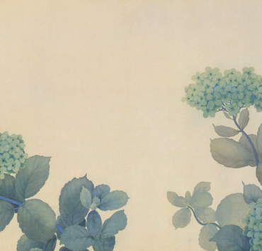 Japanese print of hydrangea flowers with a butterfly