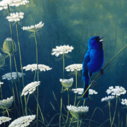 Painting of a blue bird perched on a Queen Anne's lace flower