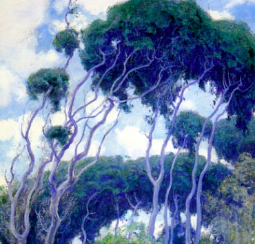 Impressionist painting of Eucalyptus trees