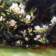 Painting of a magnolia tree in full bloom