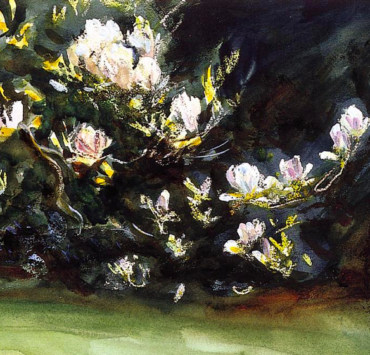 Painting of a magnolia tree in full bloom