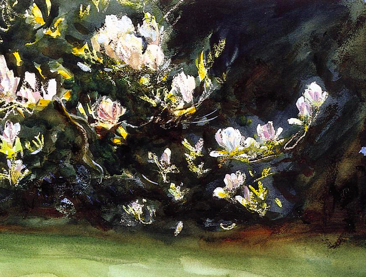 Painting of a magnolia tree in full bloom