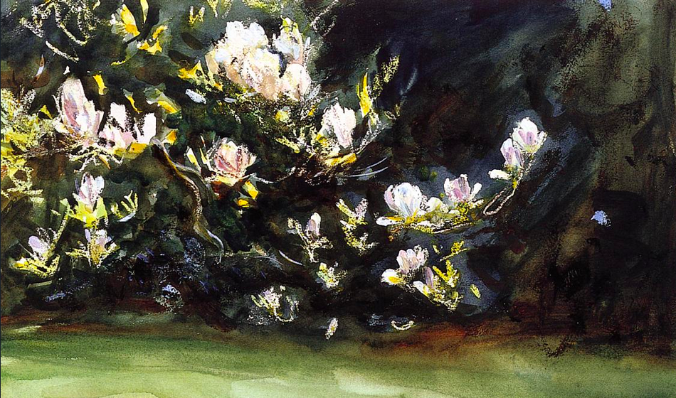 Painting of a magnolia tree in full bloom