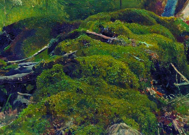 Painting of a moss covered tree root