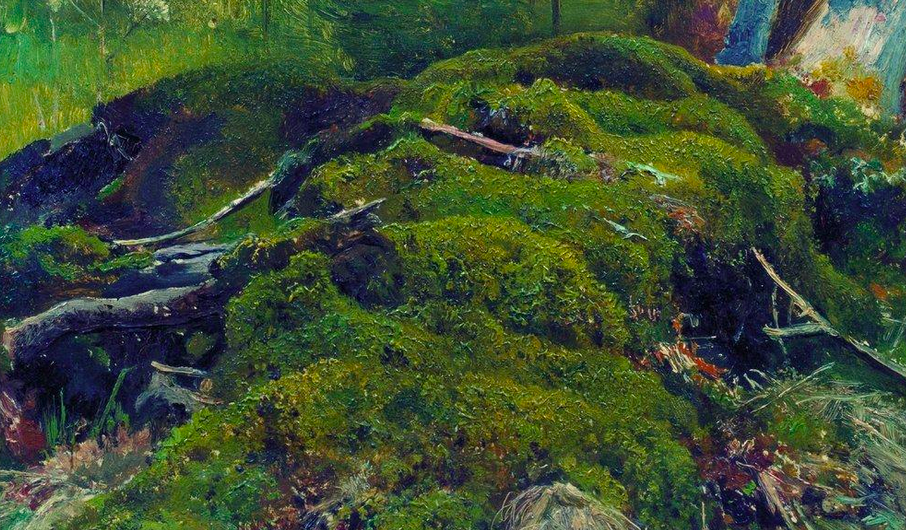 Painting of a moss covered tree root