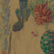 Botanical illustration of pine cones