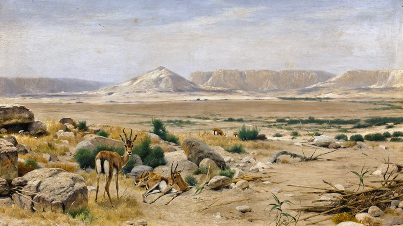 Painting of a desert landscape with several springboks grazing
