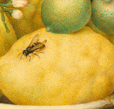 Painting of a bowl of lemons with a wasp perched on one