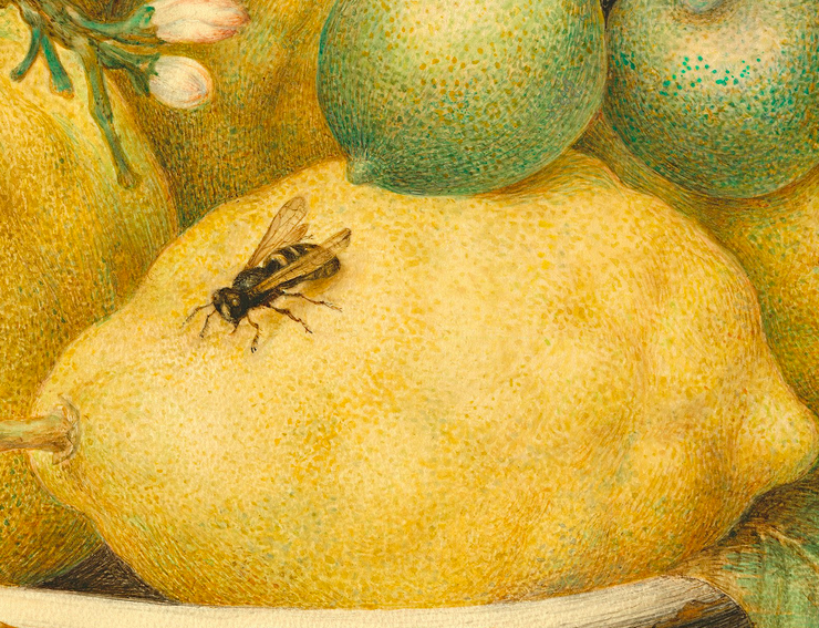 Painting of a bowl of lemons with a wasp perched on one