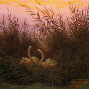 Painting of two swams nesting in reeds