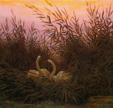 Painting of two swams nesting in reeds
