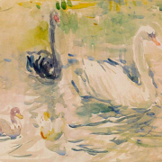 Impressionist painting of four swans on a lake