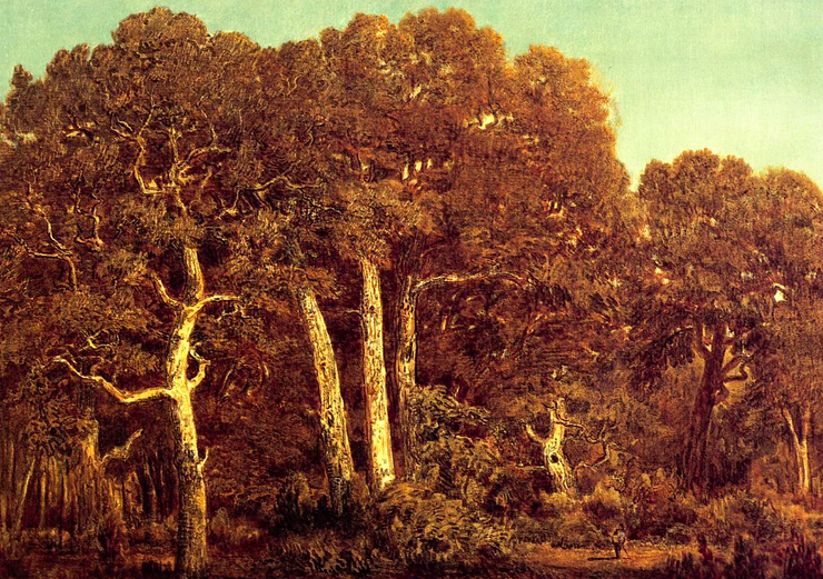 Painting of an oak forest