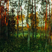 Painting of an aspen forest illuminated by a sunset