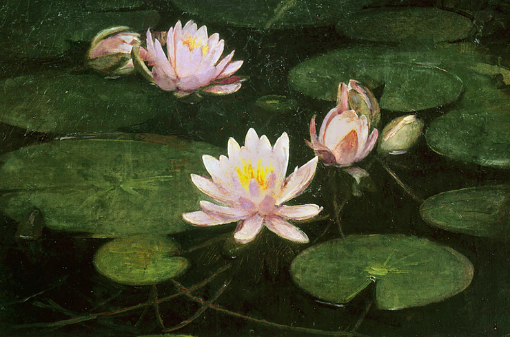 Painting of pink waterlilies on a dark lake
