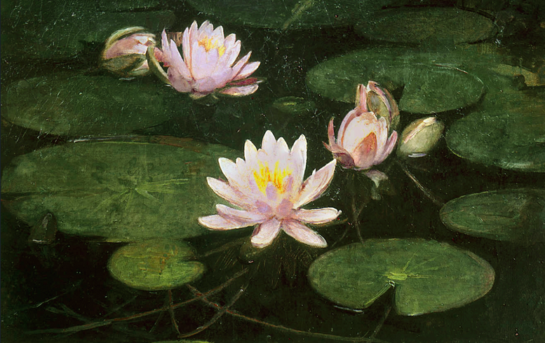 Painting of pink waterlilies on a dark lake