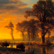 Oil painting of a Kansas setting at sundown, there are two bison drinking from a river and a large tree across from them