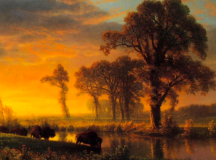 Oil painting of a Kansas setting at sundown, there are two bison drinking from a river and a large tree across from them