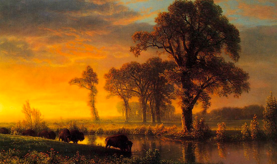 Oil painting of a Kansas setting at sundown, there are two bison drinking from a river and a large tree across from them