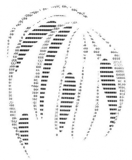 The letter o and the character お repeated to form the image of eucalyptus leaves