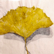 Painting of a single yellow gingko leaf