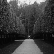 Black and white photo of a person standing in the distance between hedges that converge