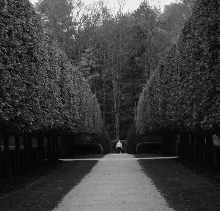 Black and white photo of a person standing in the distance between hedges that converge