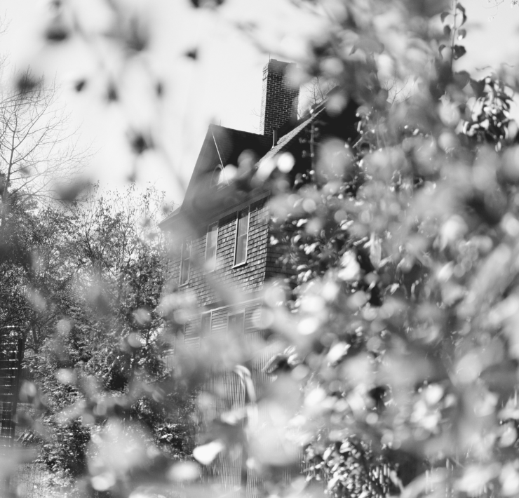 Black and white photo of a cottage behind wildflowers