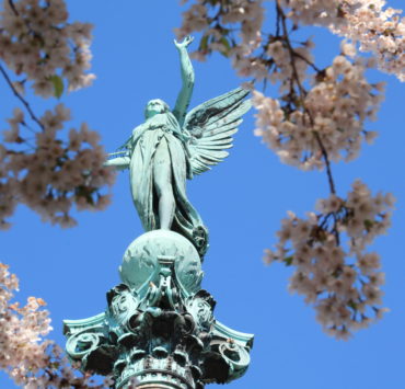 Photo of a green angel statue as seen from below pink cherry blossom branches