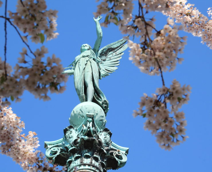Photo of a green angel statue as seen from below pink cherry blossom branches