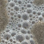 Photo of sea foam close up