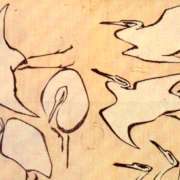 ink drawing of cranes in various stages of flight
