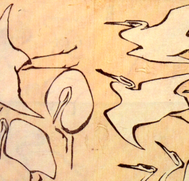 ink drawing of cranes in various stages of flight