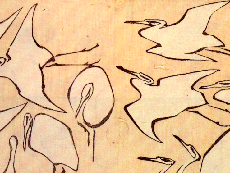ink drawing of cranes in various stages of flight