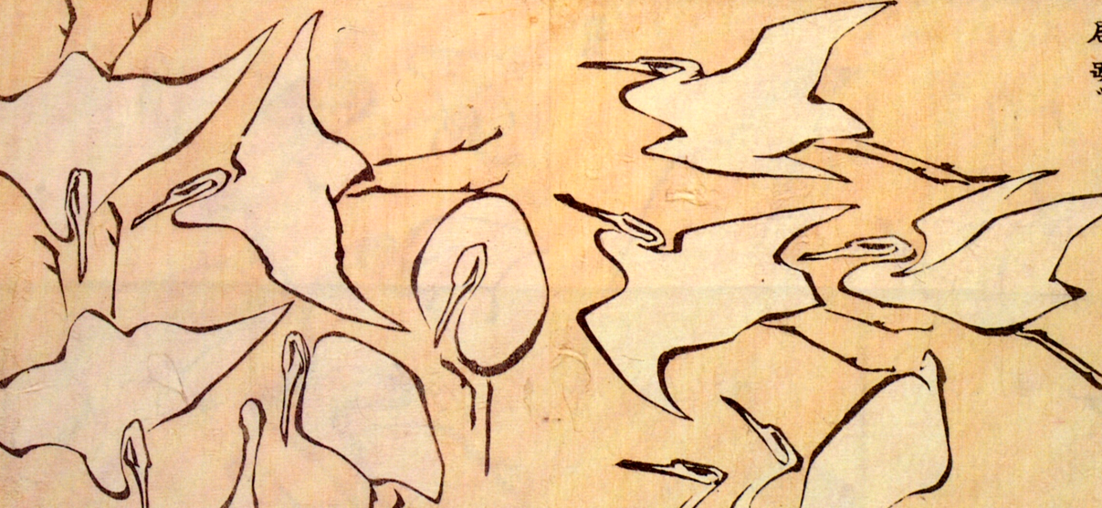 ink drawing of cranes in various stages of flight