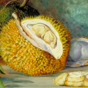 Painting of a durian fruit with a slice cut from it