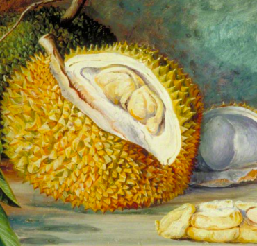Painting of a durian fruit with a slice cut from it