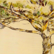 Impressionist sketch of a pine tree on an otherwise blank canvas