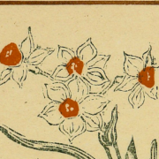 Ink drawing of a bunch of daffodils