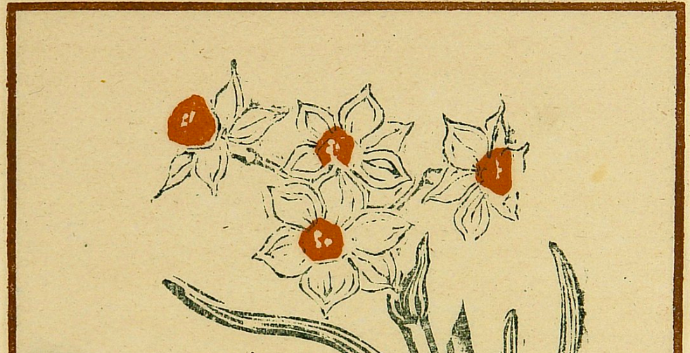 Ink drawing of a bunch of daffodils