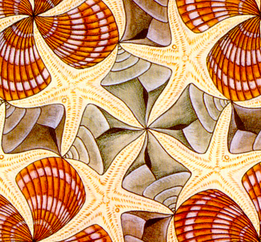 Illustration of a repeated pattern of yellow sea stars and red sea shells