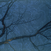 painting of a night sky as seen beneath a tree branch