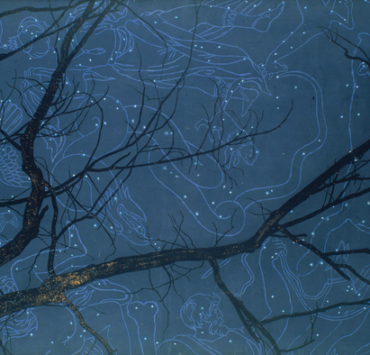 painting of a night sky as seen beneath a tree branch