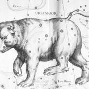 Antique illustration of the constellation ursa major
