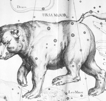 Antique illustration of the constellation ursa major